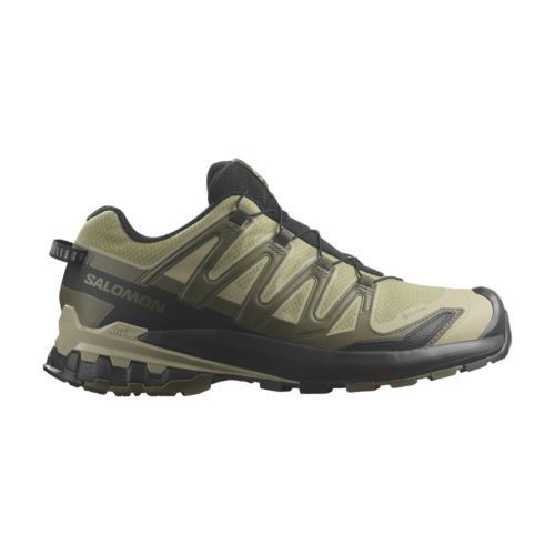 Salomon XA Pro 3D V9 Fore-Tex for Men Dried Herb / Black/ Olive Night